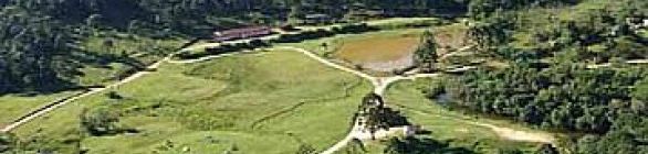Petrobras e SMA firmam acordo para conservar o Parque Estadual da Serra do Mar