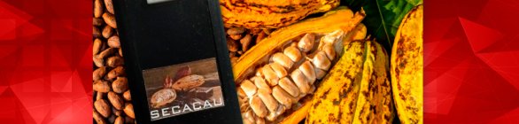 Pesquisador utiliza equações físicas para melhorar produção de chocolates