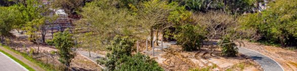 Campanha para proteção do Anel Florestal do Polo de Camaçari é lançada