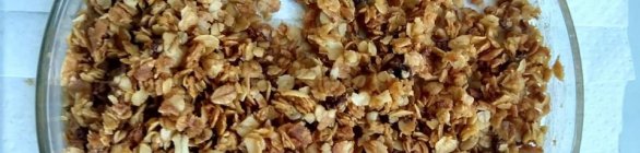 Pesquisadores criam novos alimentos à base de cogumelos na Bahia