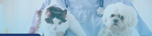 Clínica escola realiza ação contra anemia em pets