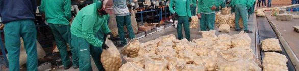 Bahia cria mais de 10 mil postos de trabalho em maio
