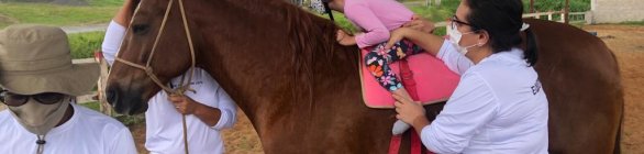 Equoterapia da PM atende crianças