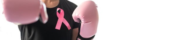 Evento reune  entusiastas do boxe  na luta contra  câncer de mama 