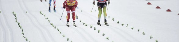 Esqui Cross Country