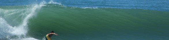 Surf: Salvador sedia QS