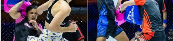 Esporte Pillow Fight (luta de travesseiros), tem sua primeira federação oficial