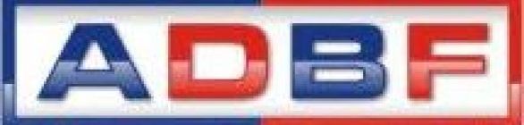 Bahia de Feira joga contra o Botafogo