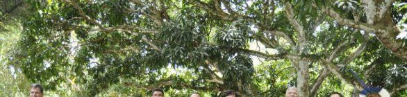 Secopa oficializa início do plantio do Programa Gol Verde