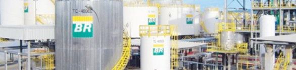 Usina da Petrobras Biocombustível triplica capacidade de refino de sebo bovino