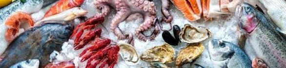 Até o momento, não há risco de consumo de frutos do mar, diz ministro