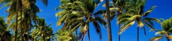Praia do Flamengo ganha um complexo especial para surf