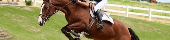 Copa Bahia e Norte Nordeste de Hipismo