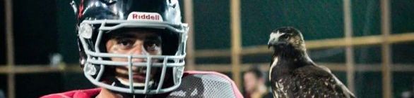 FUTEBOL AMERICANO – SELETIVA DIA 21/02 – DOMINGO PARA NOVOS ATLETAS