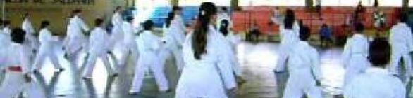 Atletas da Jabequara realizam Exame de Troca de Faixa do Taekwondo